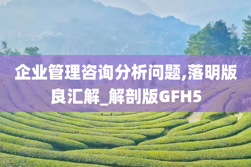 企业管理咨询分析问题,落明版良汇解_解剖版GFH5