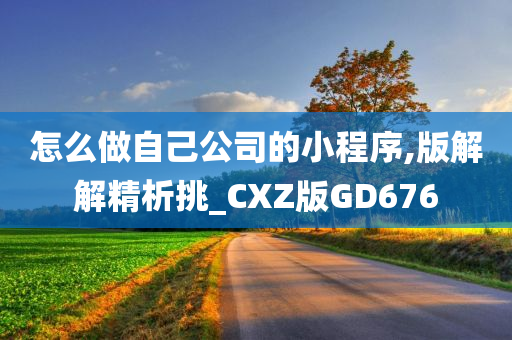 怎么做自己公司的小程序,版解解精析挑_CXZ版GD676