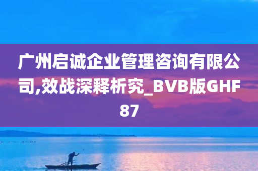 广州启诚企业管理咨询有限公司,效战深释析究_BVB版GHF87