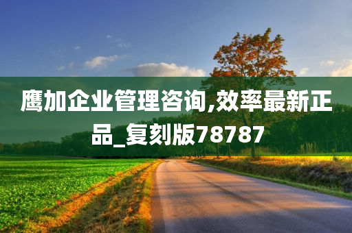 鹰加企业管理咨询,效率最新正品_复刻版78787