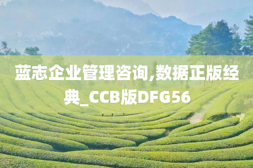 蓝志企业管理咨询,数据正版经典_CCB版DFG56