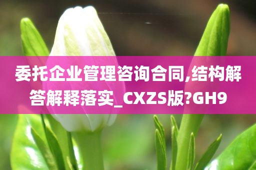 委托企业管理咨询合同,结构解答解释落实_CXZS版?GH9