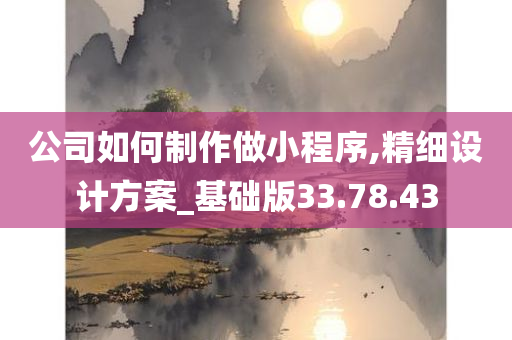 公司如何制作做小程序,精细设计方案_基础版33.78.43