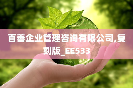 百善企业管理咨询有限公司,复刻版_EE533