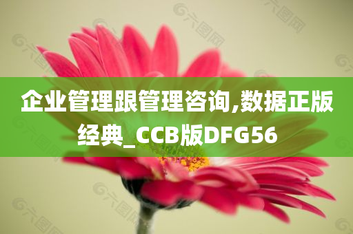 企业管理跟管理咨询,数据正版经典_CCB版DFG56