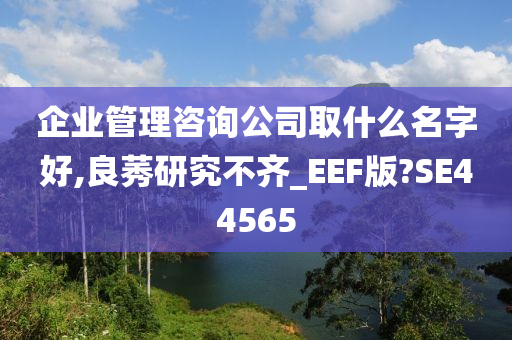 企业管理咨询公司取什么名字好,良莠研究不齐_EEF版?SE44565