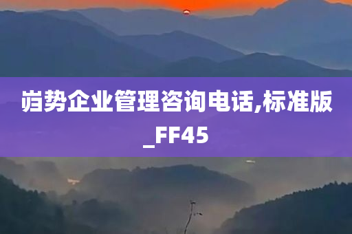 岿势企业管理咨询电话,标准版_FF45