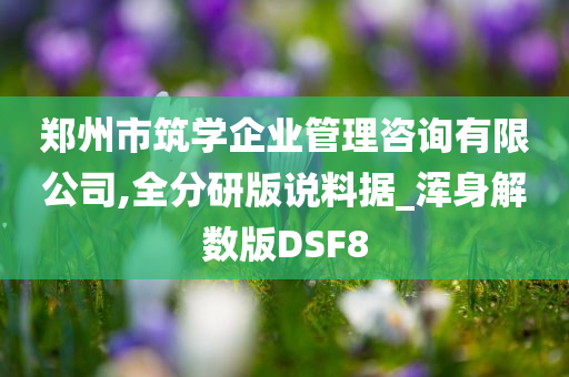 郑州市筑学企业管理咨询有限公司,全分研版说料据_浑身解数版DSF8