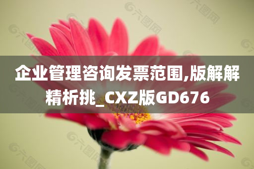 企业管理咨询发票范围,版解解精析挑_CXZ版GD676