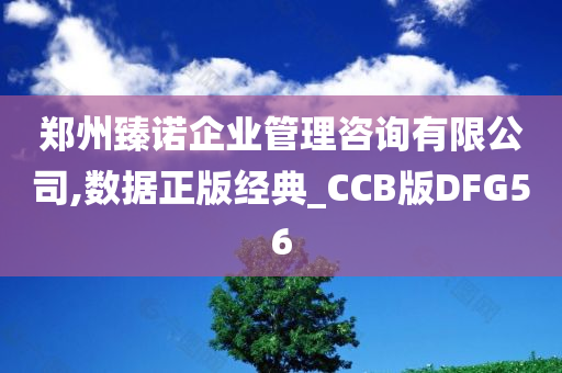 郑州臻诺企业管理咨询有限公司,数据正版经典_CCB版DFG56