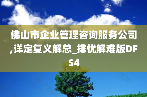 佛山市企业管理咨询服务公司,详定复义解总_排忧解难版DFS4