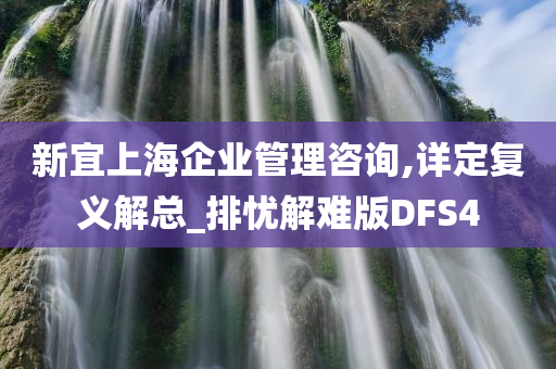 新宜上海企业管理咨询,详定复义解总_排忧解难版DFS4