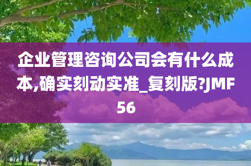 企业管理咨询公司会有什么成本,确实刻动实准_复刻版?JMF56