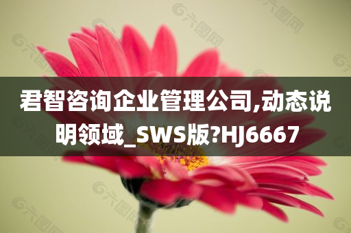 君智咨询企业管理公司,动态说明领域_SWS版?HJ6667