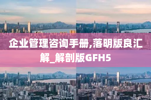 企业管理咨询手册,落明版良汇解_解剖版GFH5