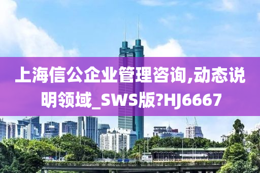 上海信公企业管理咨询,动态说明领域_SWS版?HJ6667