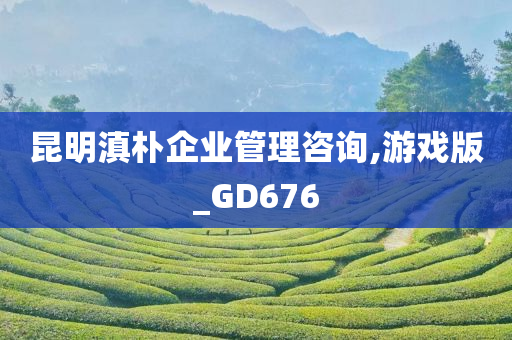 昆明滇朴企业管理咨询,游戏版_GD676