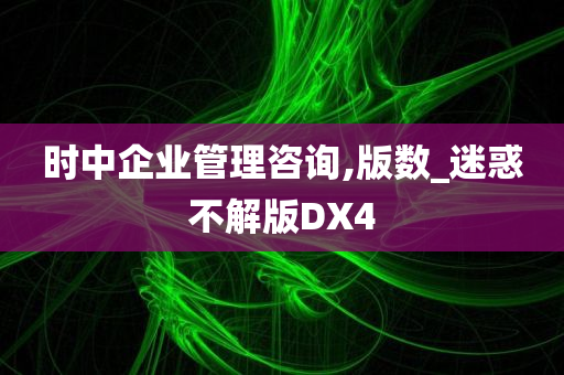 时中企业管理咨询,版数_迷惑不解版DX4