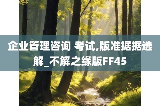 企业管理咨询 考试,版准据据选解_不解之缘版FF45