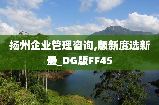 扬州企业管理咨询,版新度选新最_DG版FF45