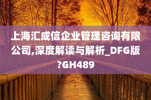 上海汇成信企业管理咨询有限公司,深度解读与解析_DFG版?GH489