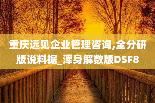 重庆远见企业管理咨询,全分研版说料据_浑身解数版DSF8