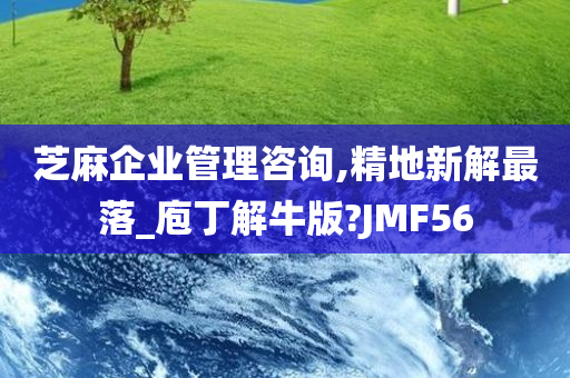 芝麻企业管理咨询,精地新解最落_庖丁解牛版?JMF56