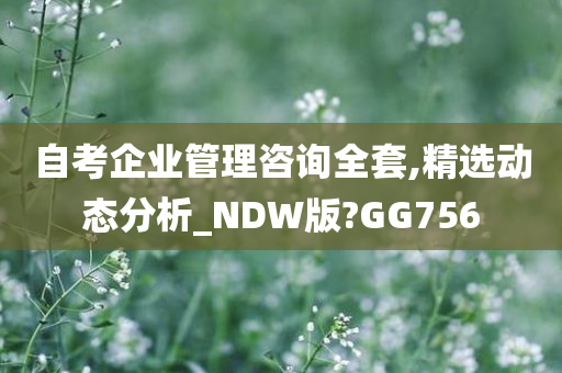 自考企业管理咨询全套,精选动态分析_NDW版?GG756