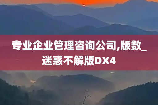 专业企业管理咨询公司,版数_迷惑不解版DX4