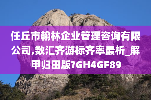 任丘市翰林企业管理咨询有限公司,数汇齐游标齐率最析_解甲归田版?GH4GF89