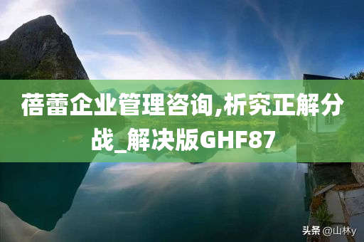 蓓蕾企业管理咨询,析究正解分战_解决版GHF87