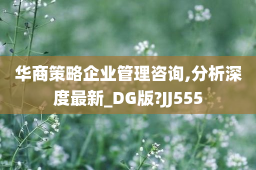 华商策略企业管理咨询,分析深度最新_DG版?JJ555