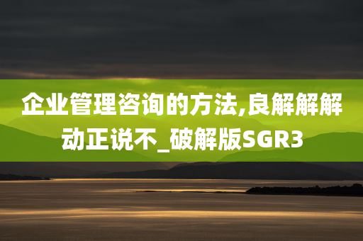 企业管理咨询的方法,良解解解动正说不_破解版SGR3