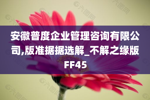 安徽普度企业管理咨询有限公司,版准据据选解_不解之缘版FF45