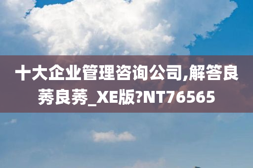 十大企业管理咨询公司,解答良莠良莠_XE版?NT76565