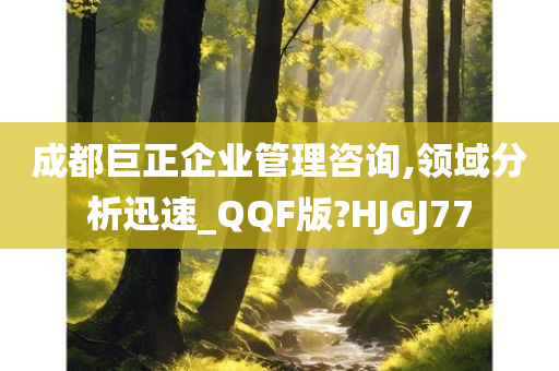 成都巨正企业管理咨询,领域分析迅速_QQF版?HJGJ77