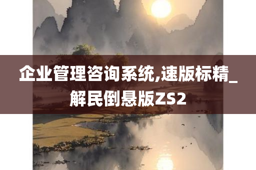 企业管理咨询系统,速版标精_解民倒悬版ZS2