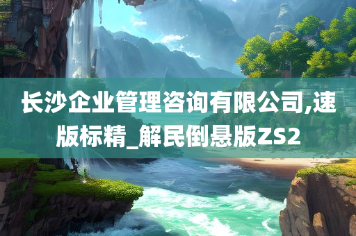 长沙企业管理咨询有限公司,速版标精_解民倒悬版ZS2