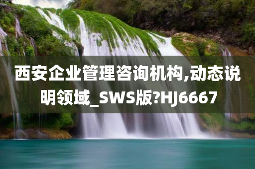 西安企业管理咨询机构,动态说明领域_SWS版?HJ6667