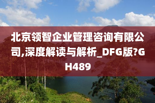 北京领智企业管理咨询有限公司,深度解读与解析_DFG版?GH489