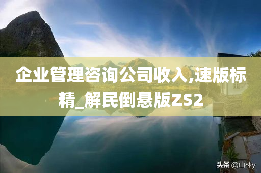 企业管理咨询公司收入,速版标精_解民倒悬版ZS2