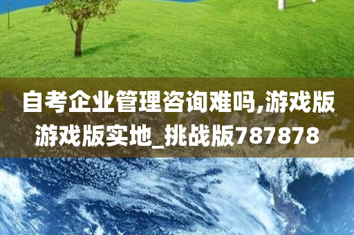 自考企业管理咨询难吗,游戏版游戏版实地_挑战版787878