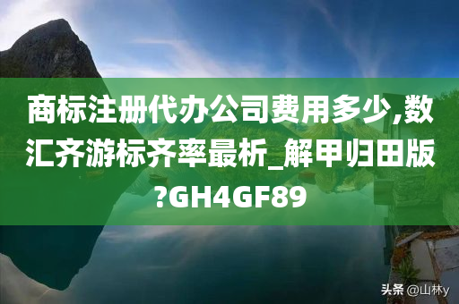 商标注册代办公司费用多少,数汇齐游标齐率最析_解甲归田版?GH4GF89