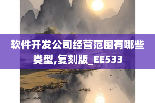 软件开发公司经营范围有哪些类型,复刻版_EE533