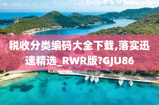 税收分类编码大全下载,落实迅速精选_RWR版?GJU86