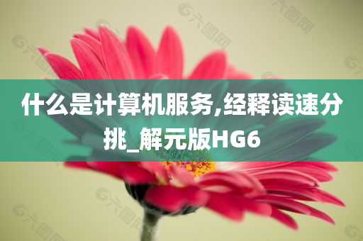 什么是计算机服务,经释读速分挑_解元版HG6