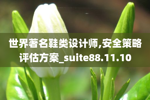 世界著名鞋类设计师,安全策略评估方案_suite88.11.10