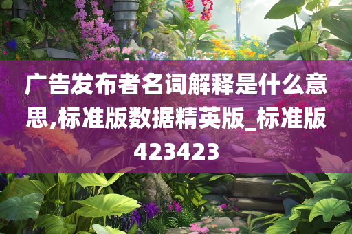 广告发布者名词解释是什么意思,标准版数据精英版_标准版423423