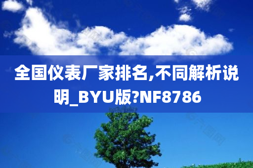 全国仪表厂家排名,不同解析说明_BYU版?NF8786