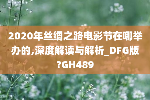 2020年丝绸之路电影节在哪举办的,深度解读与解析_DFG版?GH489